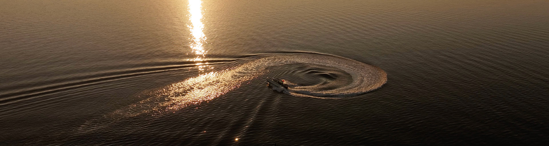 Bluefin Turnuva Logo